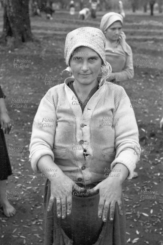 AGRICOLTURA raccoglitrice di olive calabrese mostra timidamente le mani macchiate dal lavoro. Fotografia di Ando Gilardi (1921 - 2012) #andogilardi, Italia 1957.Questa immagine è stata scelta per la copertina della video-intervista Piedi scalzi mani nere in vendita qui.