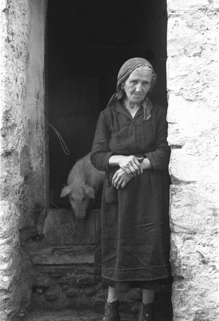 DONNA CON MAIALE DONNA CON MAIALE