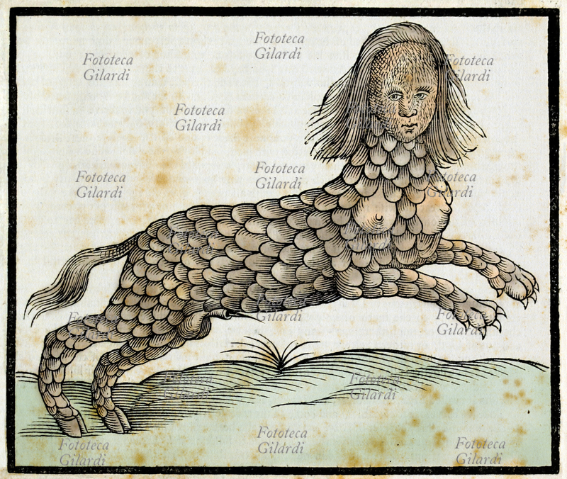 MOSTRI Lamia, figura animale mitologica, dalle molte raffigurazioni: in alcuni casi viene descritta come un essere metà donna e metà serpente e in altri come un essere ermafrodito quadrupede con la pelle a scaglie da rettile, ma sono solo due esempi tra i tanti. Incisione xilografica colorata da trattato illustrato di Edward Topsell, XVII secolo
