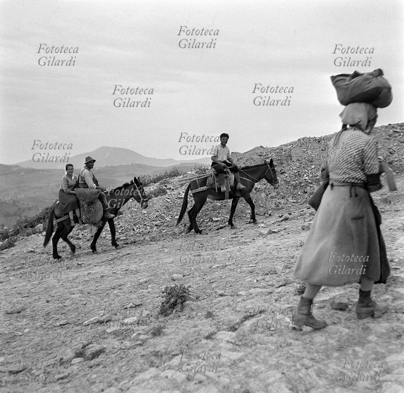 AGRICOLTURA contadini tornano dai campi: una coppia ed un giovane uomo cavalcano i loro muli; una donna, a piedi con un fardello sulla testa. La ripresa li coglie sulla cresta di un\