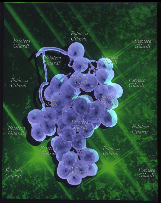 COLORI ARBITRARI elaborazione cromatica di un grappolo d\