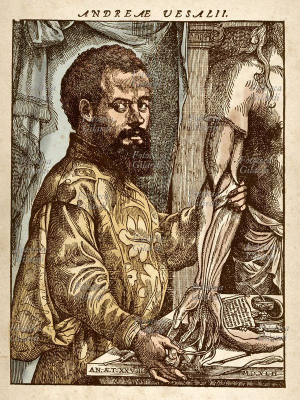 MEDICINA Ritratto del medico anatomista fiammingo Andrea Vesalio (1514-1564); di tre quarti guarda l\