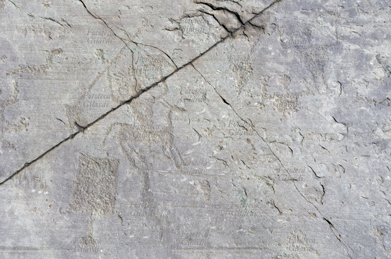 CAMUNI figura di Capotribù (al centro), paletta (in basso a sinistra), figure umane, scena di caccia; petroglifi su arenaria permiana. Parco Nazionale delle Incisioni Rupestri, età del ferro/bronzo - 5°/1° millennio a.C., sito riconosciuto dall\