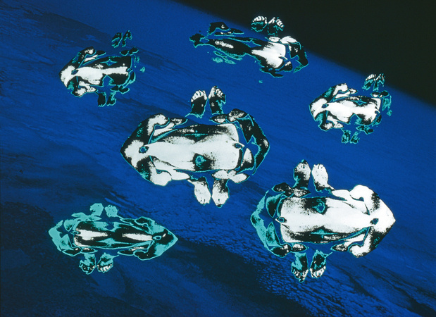 COLOR G R COME ANDROMEDA