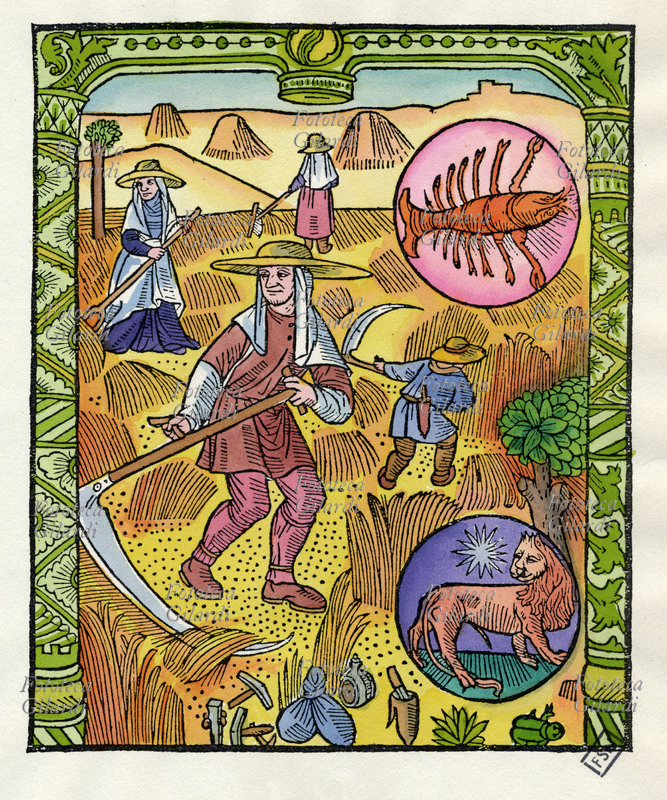 CALENDARIO il mese di Luglio. Sulla destra sono raffigurati i segni zodiacali cancro (Luna) e leone (Sole). Incisione colorata da una serie sui mesi dell\