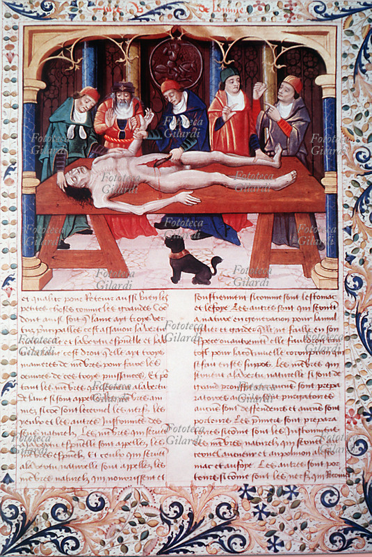 CHIRURGIA Tavola dal trattato \