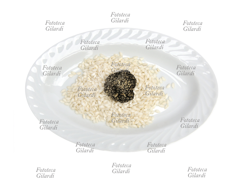 TARTUFO NERO E RISO crudo in piatto ovale - raccolto in Piemonte, zona Langhe - Monferrato - fungo ascomicete commestibile a forma di tubero, molto ricercato in gastronomia per il suo particolare aroma. Fotografia Patrizia Piccini 2010