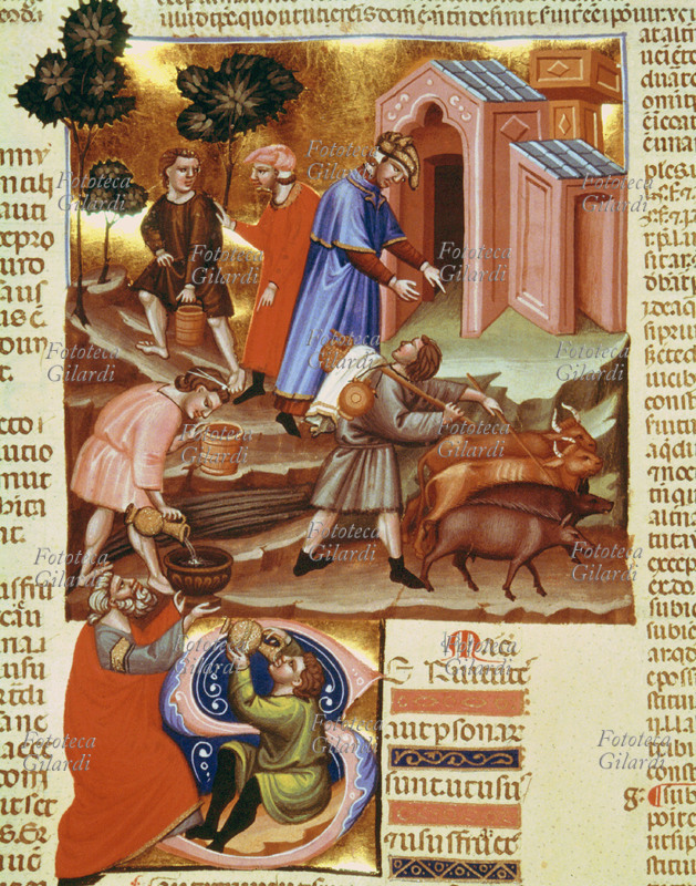 AGRICOLTURA allevamento e pastorizia, uso dei pozzi e pascoli per mandrie. Miniatura dal Codice Giustiniano, 1350