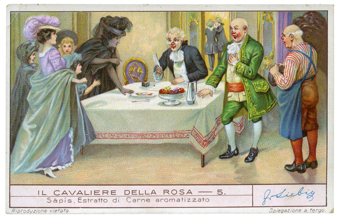 IL CAVALIERE DELLA ROSA IL CAVALIERE DELLA ROSA