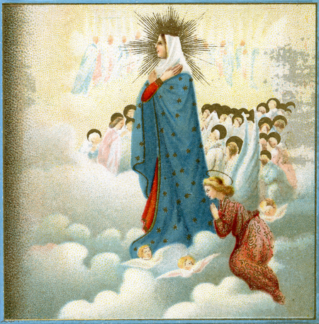 DIVINE COMEDY THE MADONNA IN THE EMPYREAN