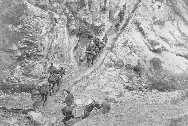 I GM Una colonna di rifornimenti in marcia con i muli sulle strade di alta montagna. Italia, agosto 1915.