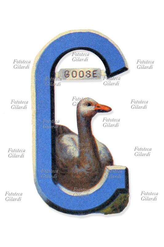 ALFABETO Lettera G fustellata con l\