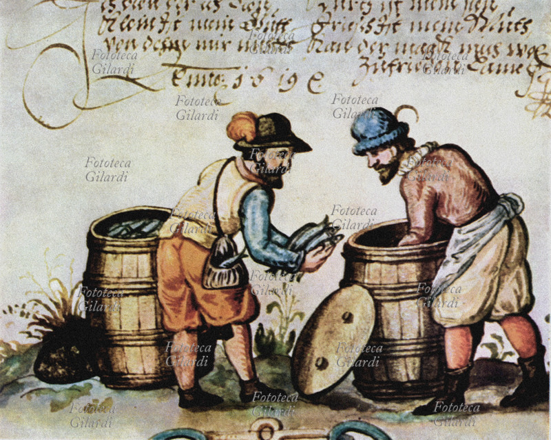 COMMERCIO Un mercante acquista delle aringhe, (osservandone prima la qualità) conservate in botti di legno. Miniatura danese del XVI secolo. La pesca e il commercio delle aringhe è una delle maggiori attività del tempo nella città di Aalborg in Danimarca.