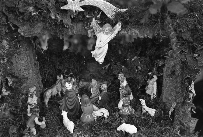 ALLA FIERA LA GROTTA