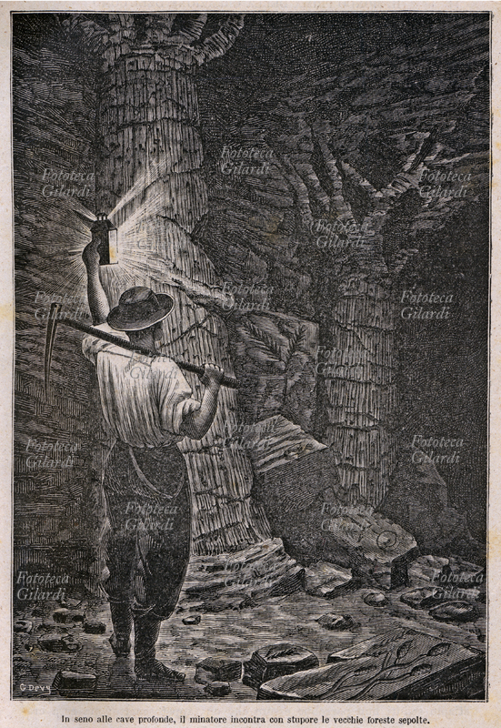 PREISTORIA In seno alle cave profonde, il minatore incontra con stupore le vecchie foreste sepolte. Incisione tratta da: «Il mondo prima della creazione dell\