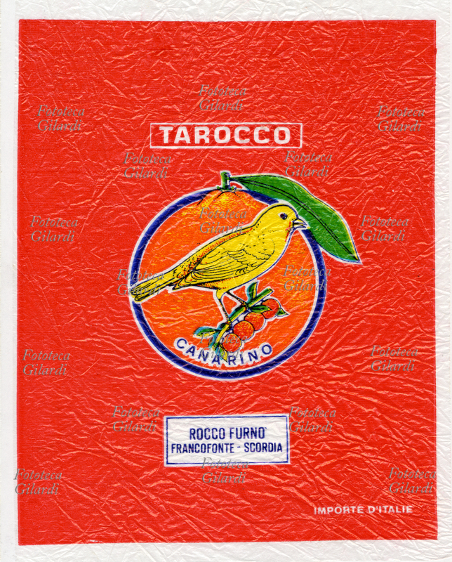 ETICHETTE Canarino. Velina per la protezione di arance Tarocco prodotte per l\