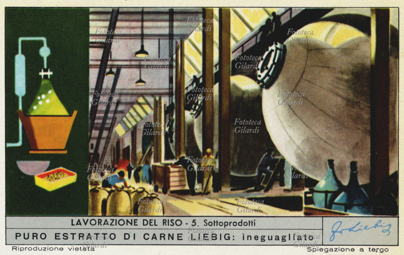 RISO Sottoprodotti: da un quintale di risone si ottengono, dopo le consuete lavorazioni, circa 64 Kg. di riso raffinato, 20 Kg. di lolla, 7 Kg di rotture e grana verde, 6 Kg di pula, 2 Kg. di farinaccio, 1 Kg. di germe. Figurina Liebig della serie \