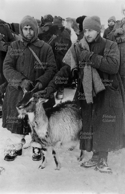 SECONDA GUERRA MONDIALE Soldati italiani in Russia, durante la ritirata. Nella foto, due soldati trascinano una capra per approvvigionamento. Foto originale di un reduce, Roberto Cacchi o Gianfranco Ucelli. 2^ Divisione alpina "Tridentina", 6° Reggimento Alpini, Battaglione Verona. URSS, 1942-43