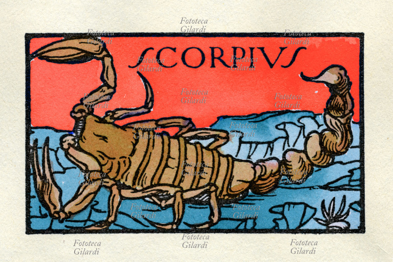 ZODIACO \