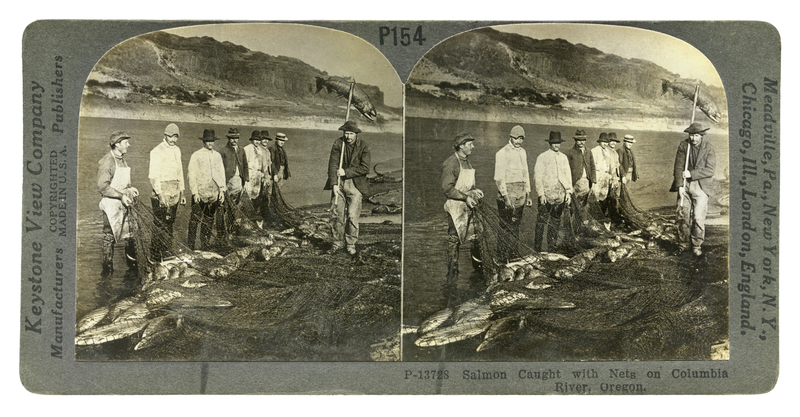 PESCA AL SALMONE NEL FIUME COLUMBIA