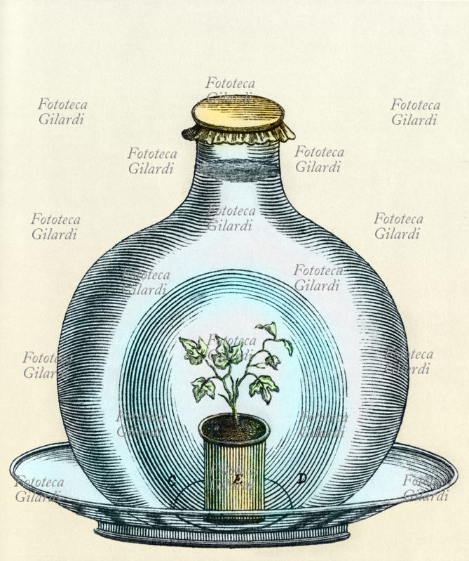 Jean SENEBIER (1742-1809) naturalista e letterato svizzero. Tavola che illustra un esperimento sulla respirazione delle piante: una pianta viene rinchiusa in una boccia di vetro parzialmente riempita d\