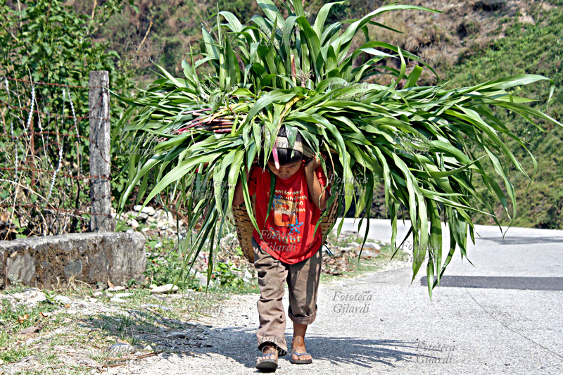 NEPAL Su una strada di campagna, un bambino con un carico pesante. Fotografia di Raffaella Milandri, maggio 2009