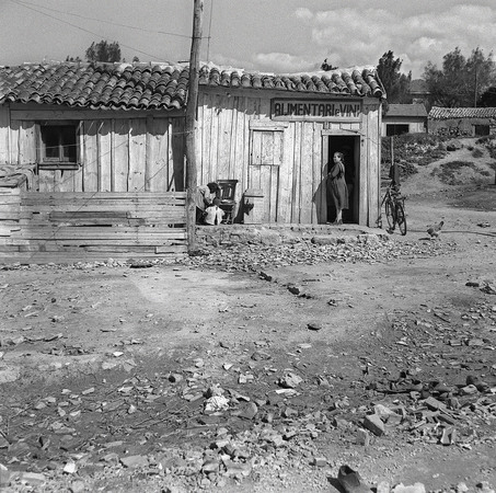 ALIMENTARI E VINI AL QUARTIERE SHANGHAI