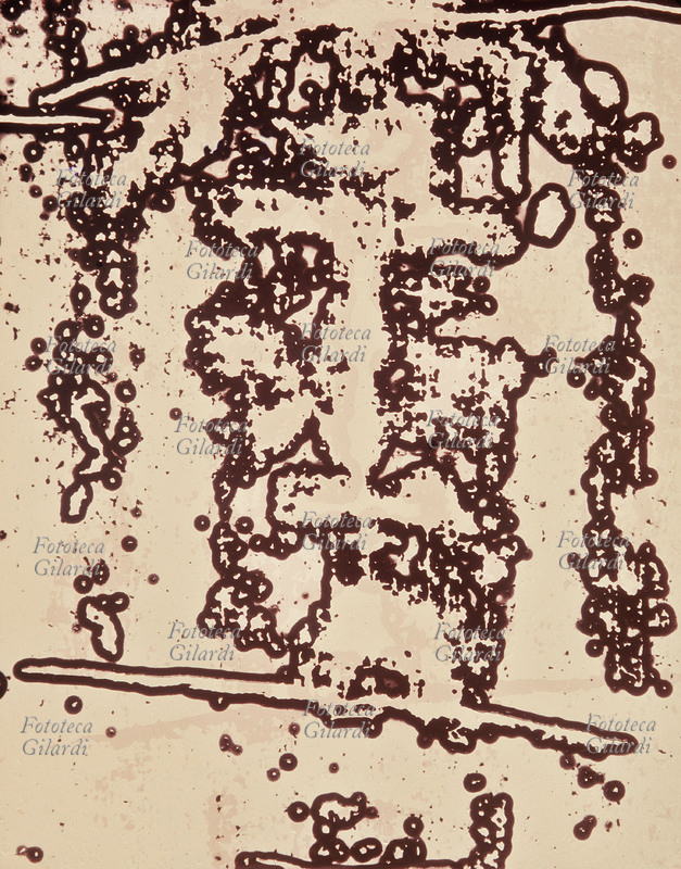 COLORI ARBITRARI elaborazione cromatica della Santa Sindone, particolare del volto di Gesù Cristo. Contorno marrone su fondo giallo/rosa. Il sofisticato procedimento di colorazione creativa arbitraria è stato ideato da Ando Gilardi (1921 - 2012) #andogilardi negli anni Settanta, una tecnica foto-grafica di grande potenza espressiva e declinabilità, dai risultati definibili come precursori delle successive elaborazioni in digitale. Color G, Milano, 1977.
