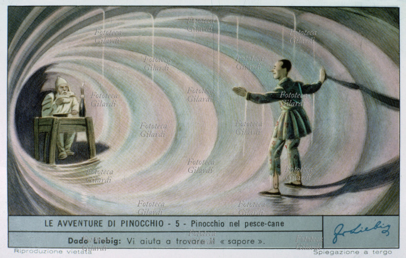 PINOCCHIO nel pesce-cane. L\