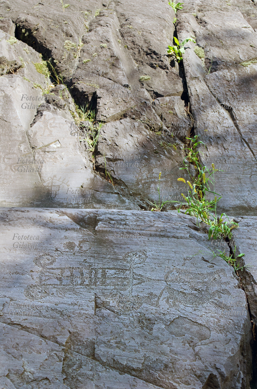 CAMUNI Roccia n. 23 con figura di carro a quattro ruote raggiate trainato da cavalli (vedi dettaglio in #11196), petroglifi su arenaria permiana. Parco Nazionale delle Incisioni Rupestri, età del ferro/bronzo - 5°/1° millennio a.C., sito riconosciuto dall\