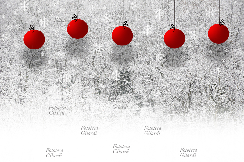 NATALE sfondo natalizio: veduta bosco durante una nevicata. Fotografia di Patrizia Piccini, Ponzone (AL) combinata con grafica di Elena Piccini, gennaio 2009