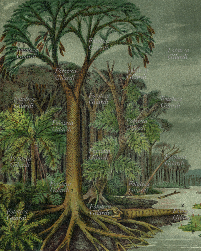 PREISTORIA Paesaggio, periodo geologico dell\