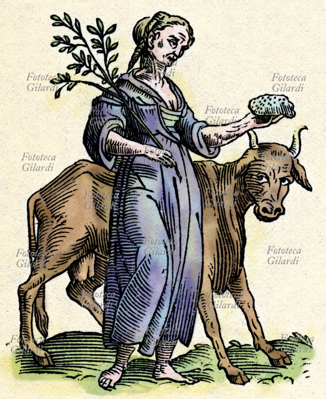 ALLEGORIA della Carestia, donna con veste lacera che regge in una mano un ramo di salice e nell\