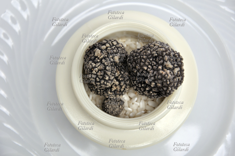 TARTUFO NERO e riso crudo nel piatto - raccolto in Piemonte, zona Langhe - Monferrato - fungo ascomicete commestibile a forma di tubero, molto ricercato in gastronomia per il suo particolare aroma. Fotografia Patrizia Piccini 2010
