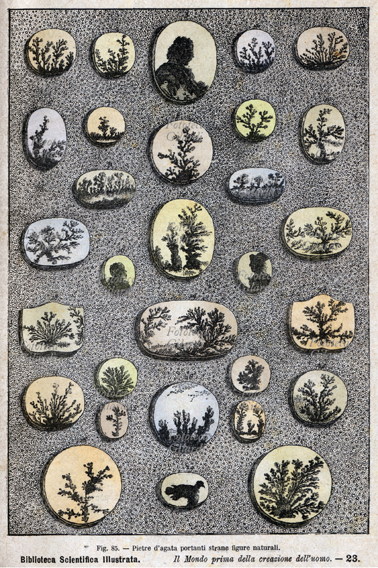 PREISTORIA Fig. 85 Pietre d\