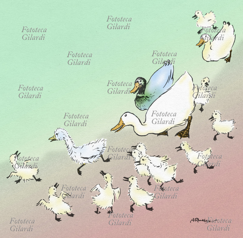 Hans Christian ANDERSEN (1805-1875) Illustrazione per la favola \