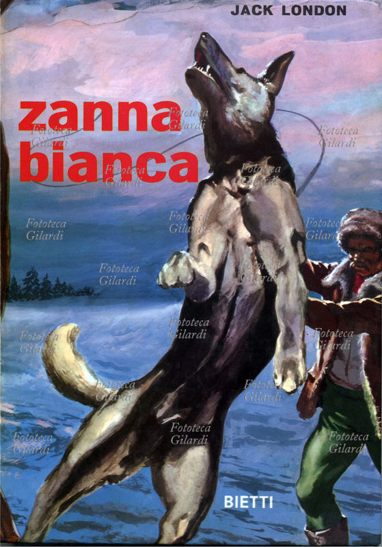 Jack LONDON (1876-1916) Zanna Bianca, copertina illustrata per il romanzo del 1907; edizione italiana nella collana Fantasia, Casa Editrice Bietti, Roma 1972