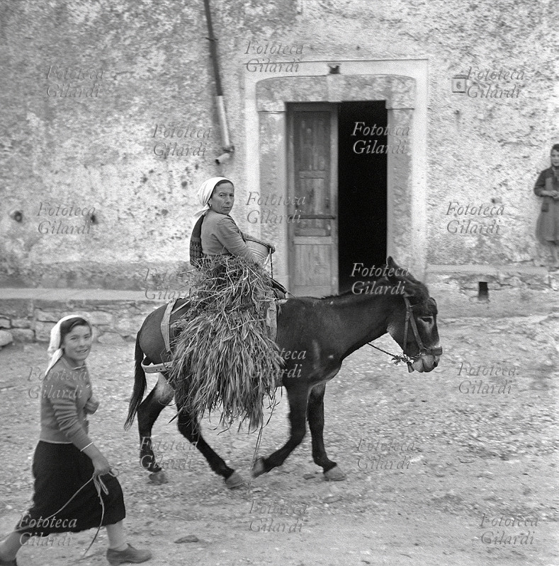 AGRICOLTURA contadina al ritorno dai campi arriva in paese cavalcando un asinello, caricato anche con un fascio di spighe. La segue, a piedi, una ragazzina che sorride al fotografo, reggendo la corda dove probabilmente è legata una capra o un maialino. Fotografia di Ando Gilardi (1921 - 2012) #andogilardi, Lucania 1957.