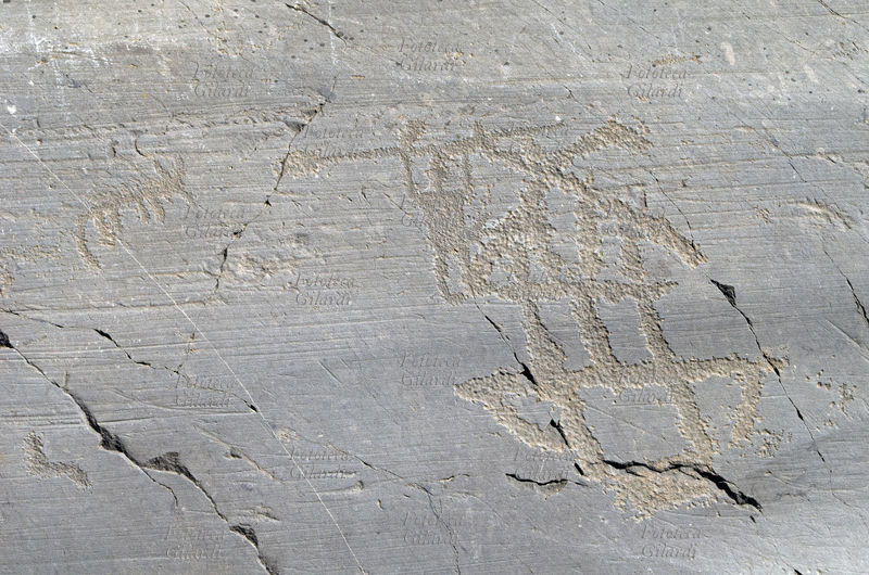 CAMUNI Raffigurazione di edificio, guerriero con lancia e cane, petroglifi su arenaria permiana. Parco Nazionale delle Incisioni Rupestri, età del ferro/bronzo - 5°/1° millennio a.C., sito riconosciuto dall\