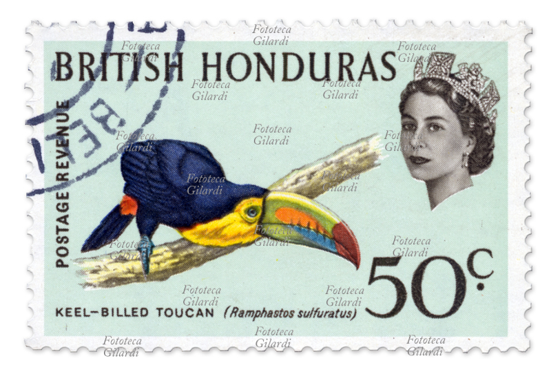 FRANCOBOLLO ordinario della serie "Uccelli" dedicato al Keel-billed Toucan (Ramphastos sulfuratus); nella vignetta il tucano carenato, e in alto a destra l\