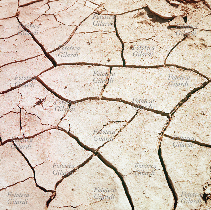 TERRA Suoli poligonali (soil-crak). Fotografia, Italia XX secolo.