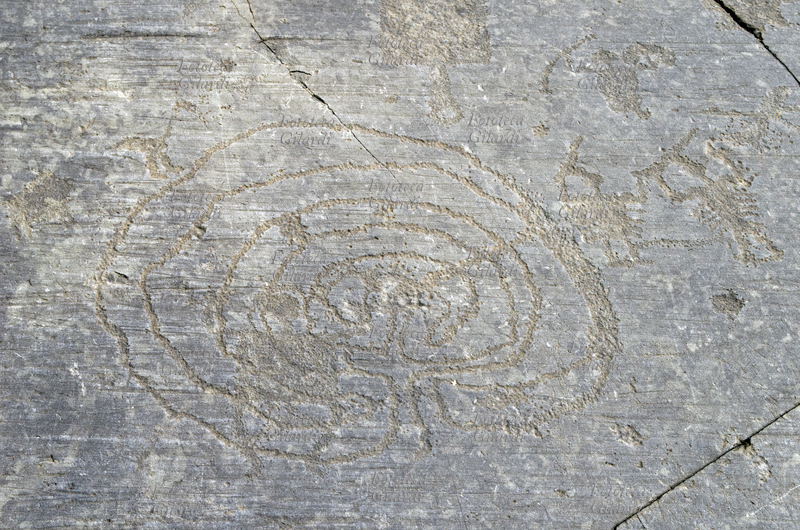 CAMUNI Raffigurazione di labirinto, uccello acquatico e duellanti legati per una gamba sulla Grande Roccia di Naquane, petroglifi su arenaria permiana. Parco Nazionale delle Incisioni Rupestri, età del ferro/bronzo - 5°/1° millennio a.C., sito riconosciuto dall\