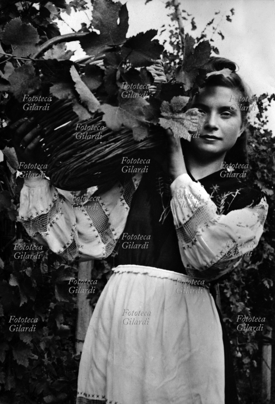 VENDEMMIA giovane contadina con cesto di uva sulle spalle a Stradella, nell\