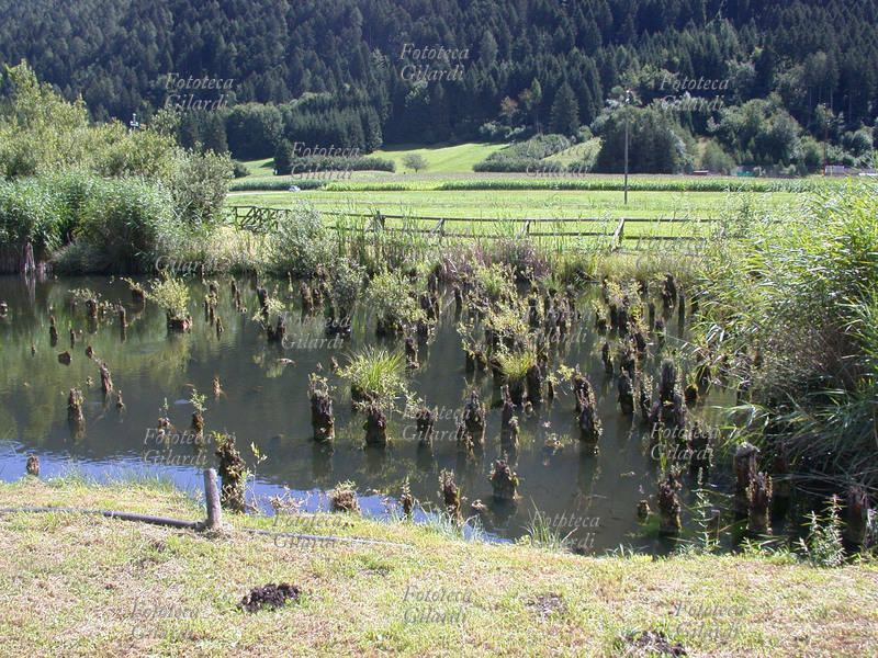 PALAFITTE di Fiavé-Carera in Trentino. La scoperta dell\