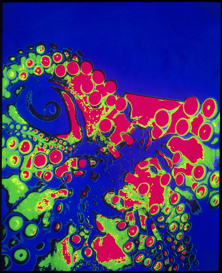 FOTOGRAFIA ARBITRARIA COLOR G TENTACOLI FOTOGRAFIA ARBITRARIA COLOR G TENTACOLI