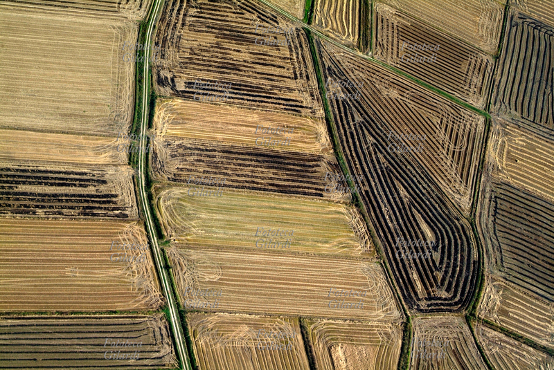TRIBAL ARROW (Freccia tribale). Il fotografo afferma: «A mio parere, la forma di questo campo esula veramente da qualsiasi logica razionale; se ciò non è stato fatto con la speranza che io passassi appositamente in volo per immortalare la precisione di questo trattorista d\