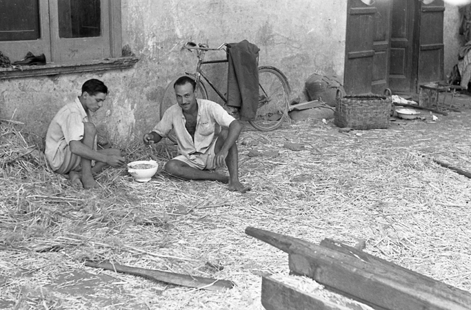 LAVORAZIONE DELLA CANAPA ZUPPA CONDIVISA LAVORAZIONE DELLA CANAPA ZUPPA CONDIVISA