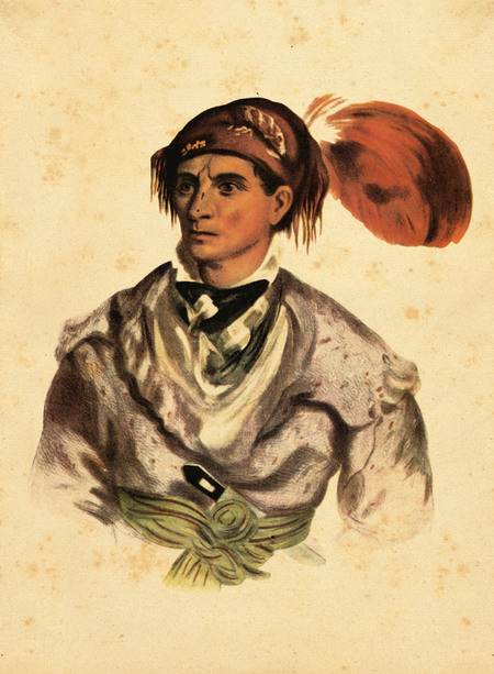 TACHEE DETTO L OLANDESE TACHEE DETTO L OLANDESE