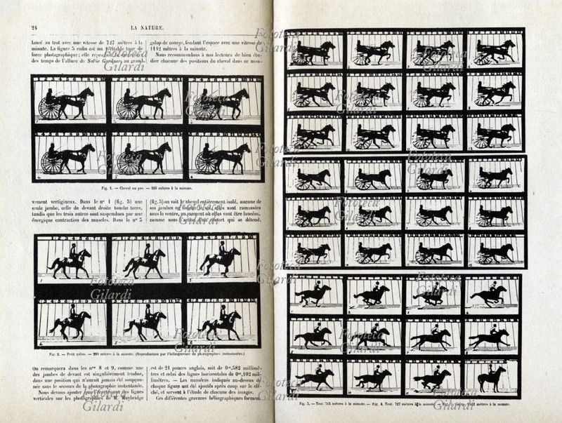 HISTORY OF PHOTOGRAPHY Publication of the results of the study on the motion of the horse led by Eadweard Muybridge (9 April 1830 - 8 May 1904), a British photographer pioneer of movement photography. Taking inspiration from the request of the governor of California Leland Stanford, who in 1872 challenged him to confirm his hypothesis that there was a moment in the race in which the animal does not support any paw, the photographer studied the question for a long time and, supported by progress in the photosensitivity of the materials, which were then accompanied by the unusual use of flashes of electric light to shorten the exposure, he succeeded in developing a system of 24 cameras arranged parallel to the track, driven by the passage of the horse itself. Reproduction in photoengraving of snapshots, "La Nature", France, 28 September 1878