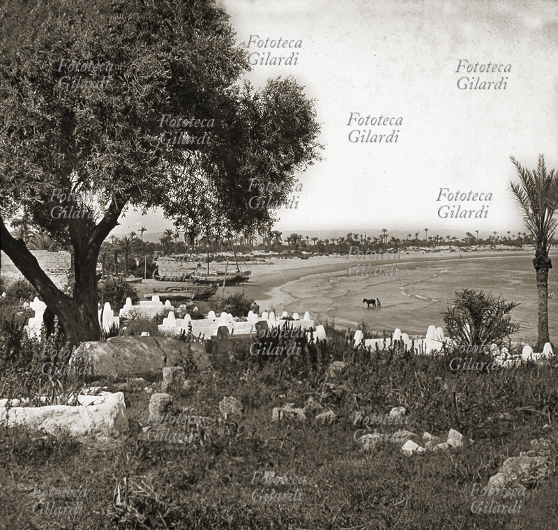 ISRAELE Haifa: veduta della baia. Fotografia 1890 circa